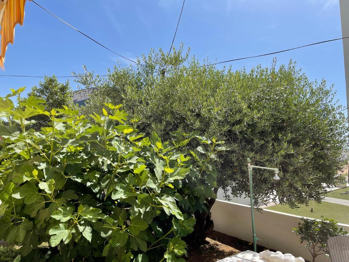 ויר Apartments Villa Engeli מראה חיצוני תמונה